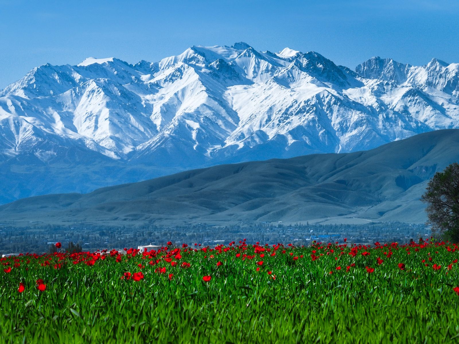 Kazakhstan & Kyrgyzstan
